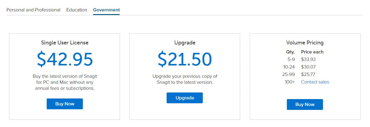 Snagit Verdict with Government Pricing Table