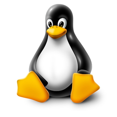 Take Screenshot Linux