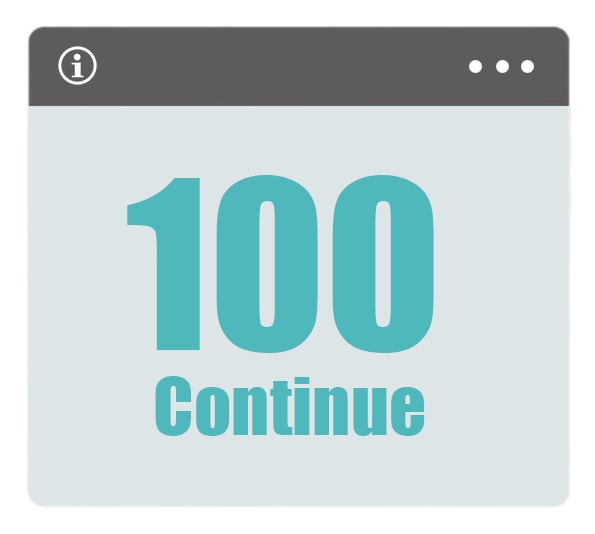 100 Continue HTML Status Codes