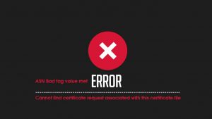 ASN Bad tag value met or Cannot find certificate request associated with this certificate file
