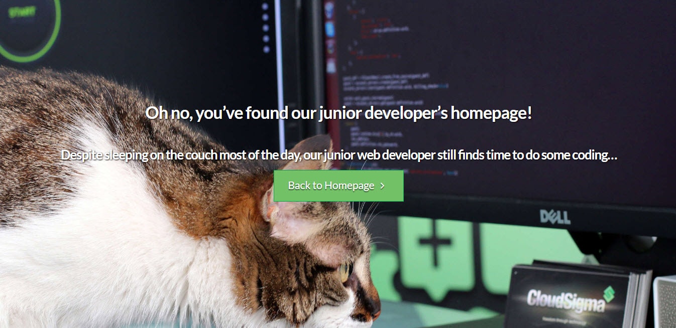 Cloud Sigma Funny 404 Pages