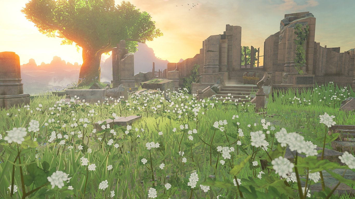 Graphics in The Legend of Zelda Breath of the Wild