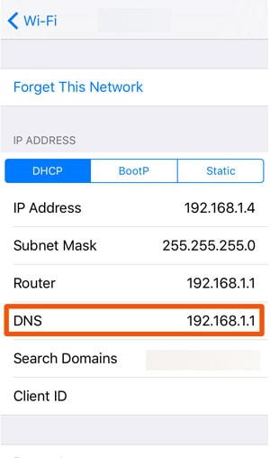 DHCP DNS Configuratrion on iOS