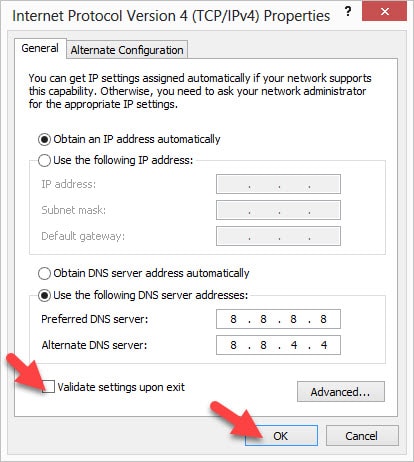 Preferred DNS Server and Alternate DNS Server