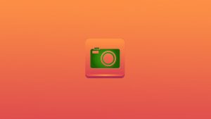 Screenshot App Review (Developer: Lovekara)