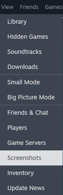 Steam View Menu