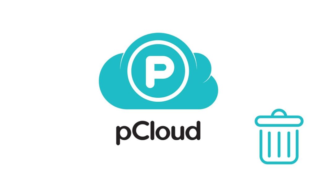 Delete pCloud Account