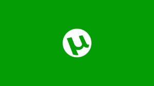 Best VPN for Torrenting