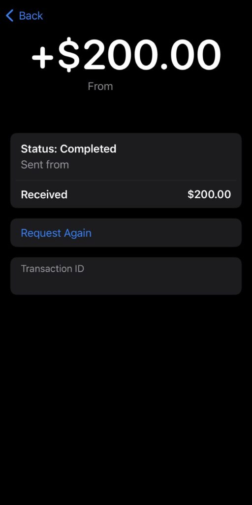 Apple Pay Screenshot