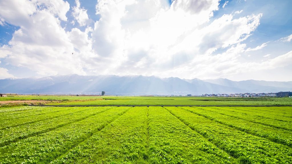 Modern Technology for Enhancing Agricultural Productivity