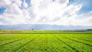 Modern Technology for Enhancing Agricultural Productivity