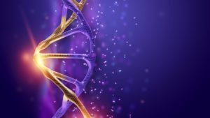 How Technology Related to Science