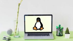 Advantages and Disadvantages of Linux