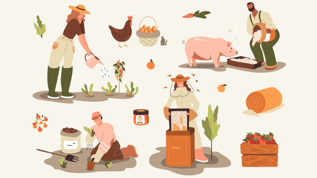 Advantages and Disadvantages of Organic Farming