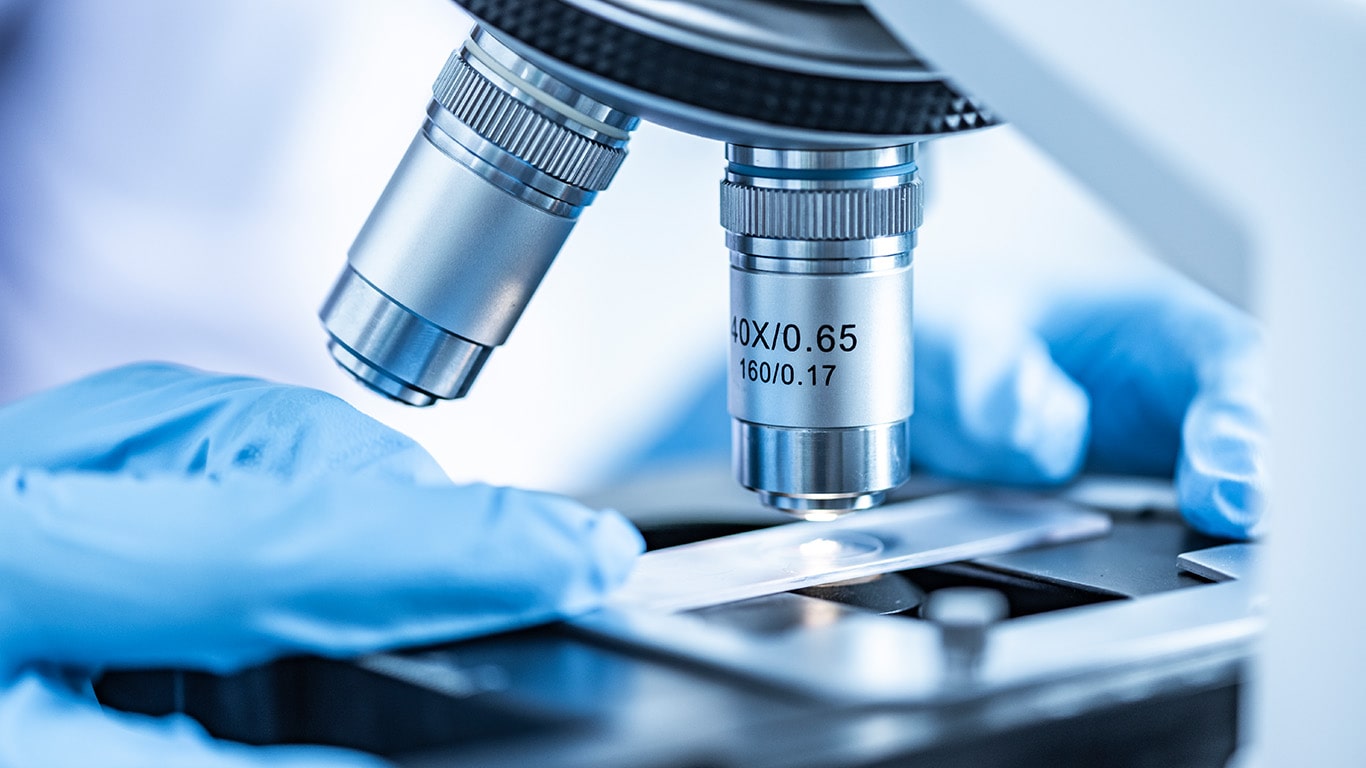 6 Types Of Microscopes Available Tech Quintal 6 Types Of Microscopes Available Tech Quintal