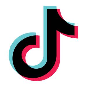 TikTok Logo