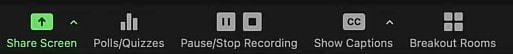 Zoom Call Pause or Stop Recording Button