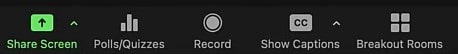 Zoom Call Record Button