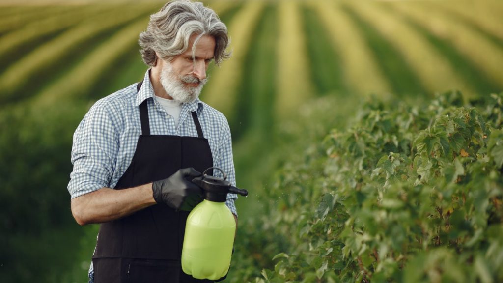 Advantages and Disadvantages of Chemical Fertilizers