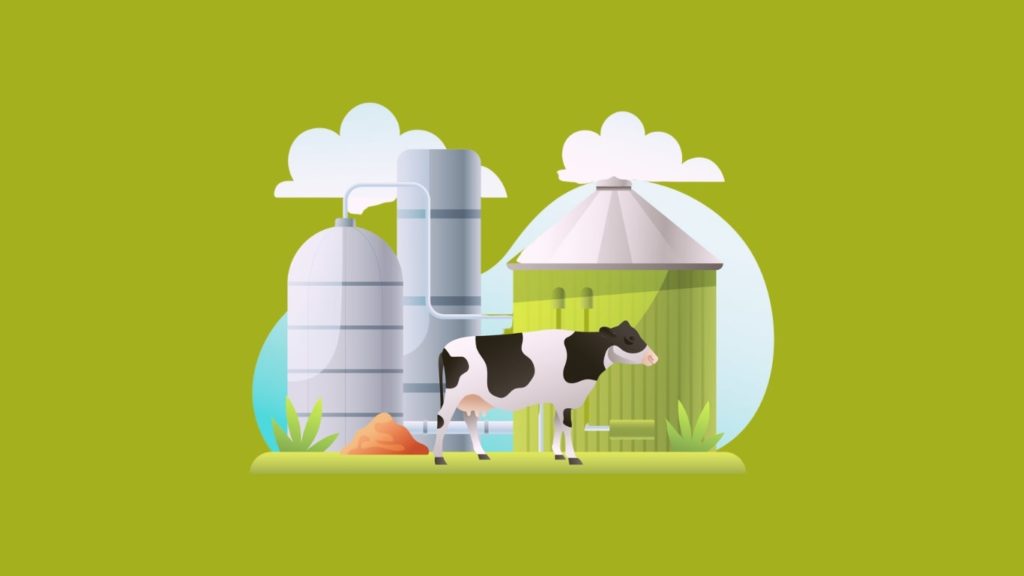Biogas Plant